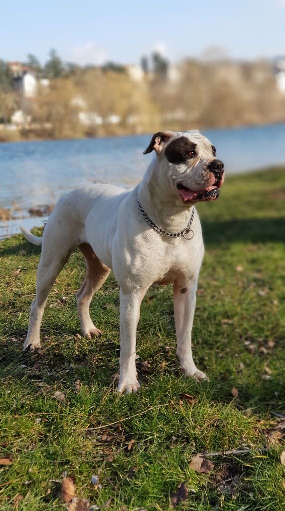 Publication : des Varennes Mystiques