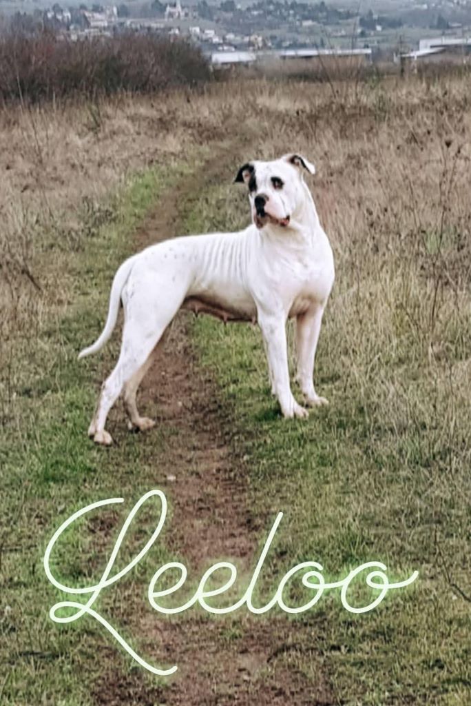 Publication : des Varennes Mystiques