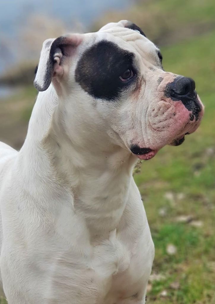 Publication : des Varennes Mystiques