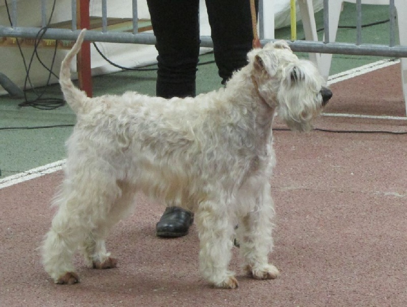 Everden des Varennes Mystiques - 1 excellent (classe ouverte) et Test Caractère OK