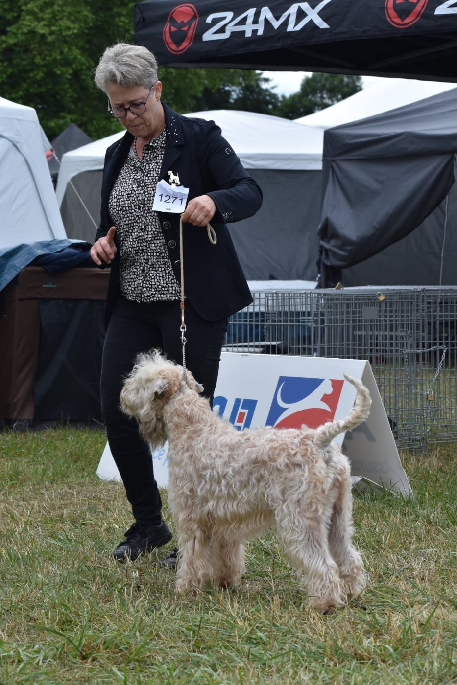 CH. Triska des Varennes Mystiques - 1er Excellent CACIB et Meilleur de Race (BOB)