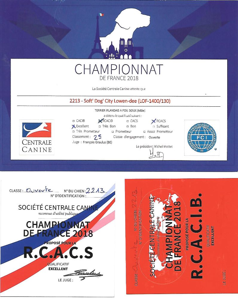 CH. Soft' Dog' City Lowen dee - 2ème Excellent R-CACS et R-CACIB