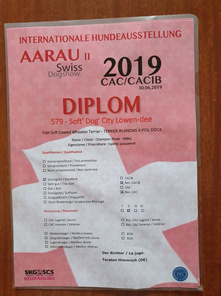 CH. Soft' Dog' City Lowen dee - 2eme Excellent R-CACS - R-CACIB (Cl Champion)