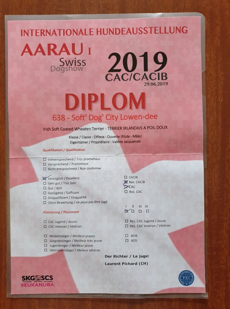 CH. Soft' Dog' City Lowen dee - 1er Exc CACS et R-CACIB