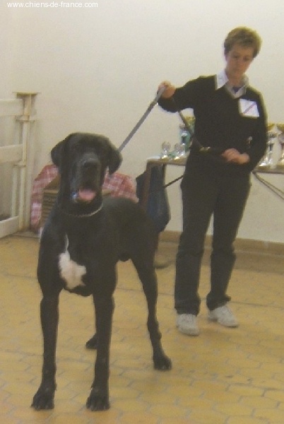 Urban des Varennes Mystiques - CACS