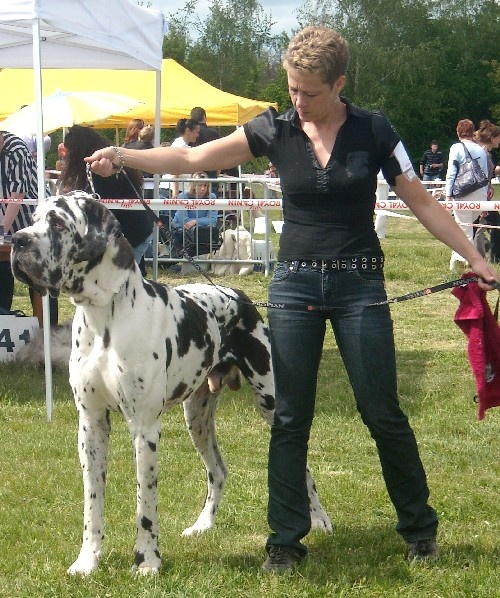Carmino Burana des Varennes Mystiques - 2ème Excellent RCACS