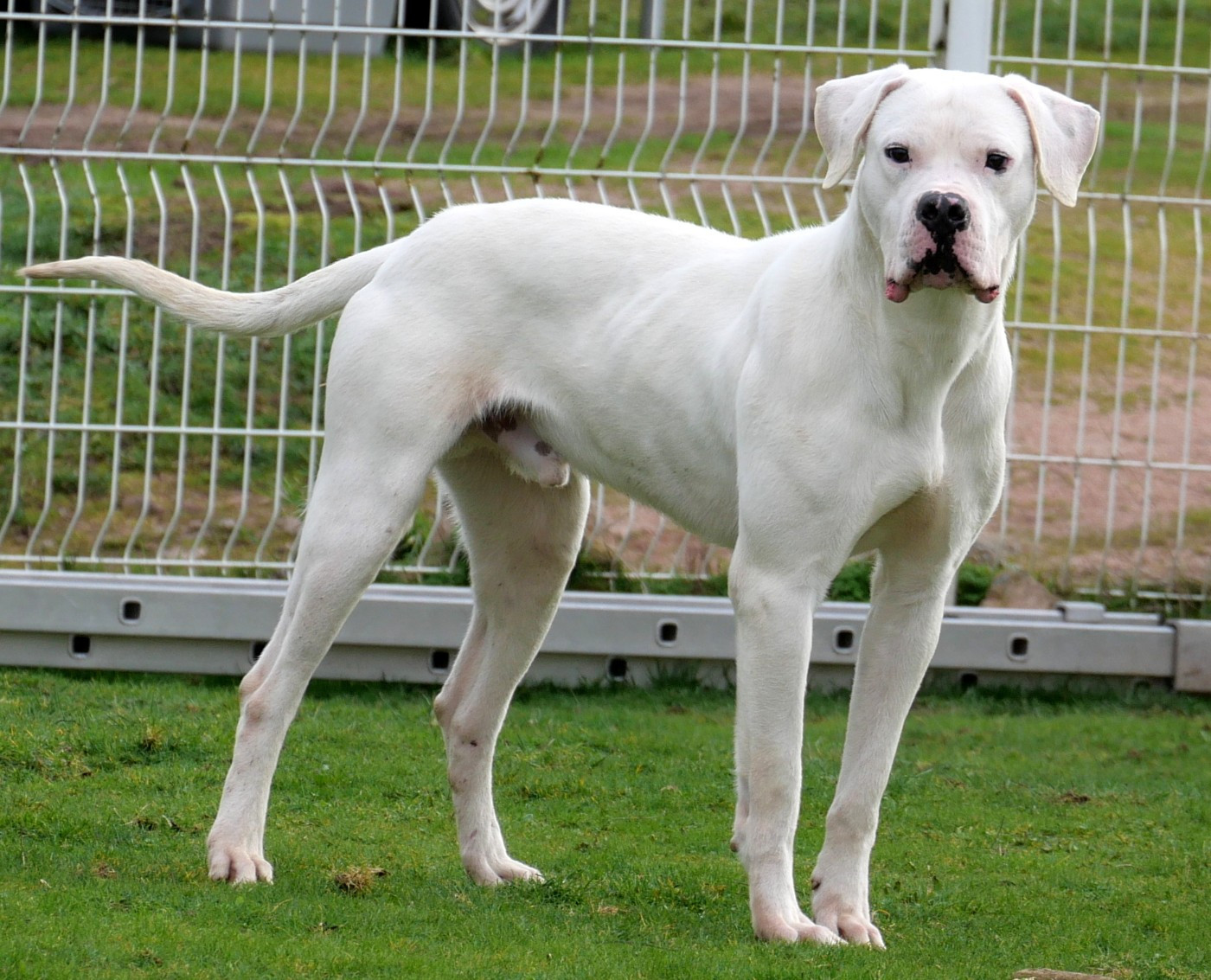 Publication : De la crique du Flojule