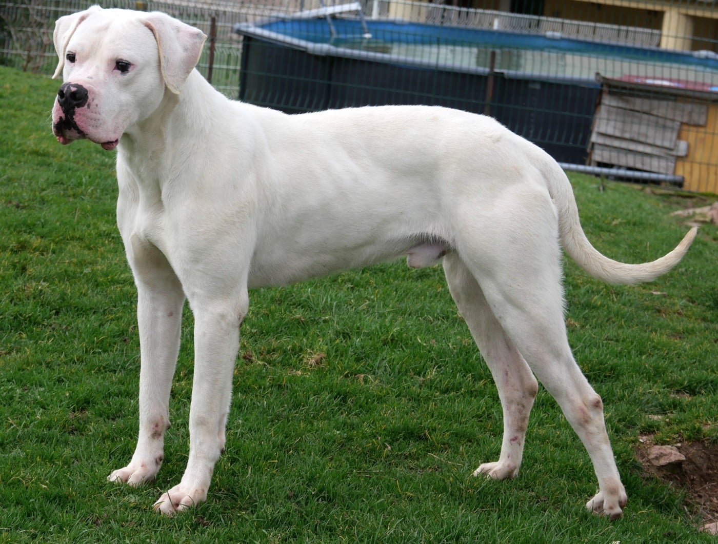 Publication : De la crique du Flojule