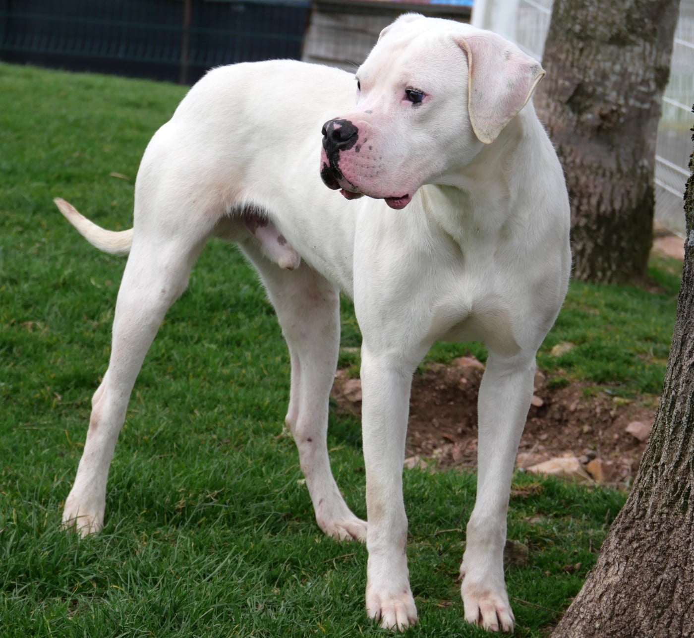 Publication : De la crique du Flojule