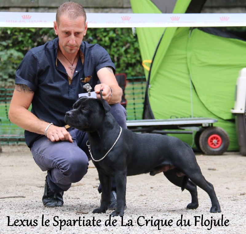 Publication : De la crique du Flojule Auteur : grange cedric