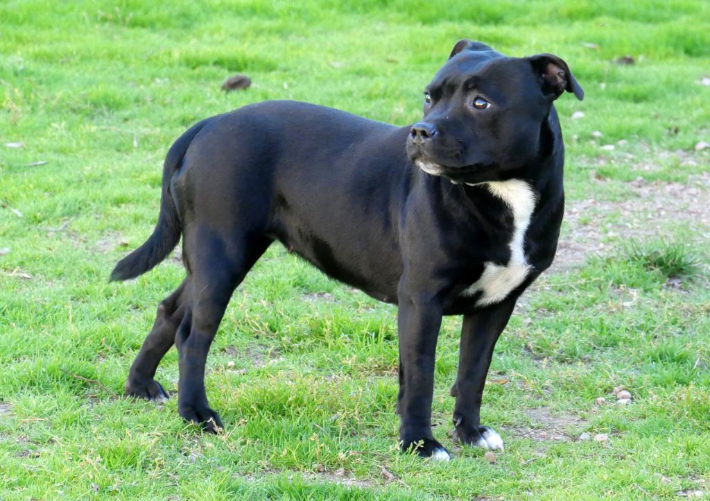 Vortex De la crique du Flojule