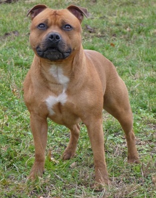 Publication : De la crique du Flojule Auteur : cedric grange