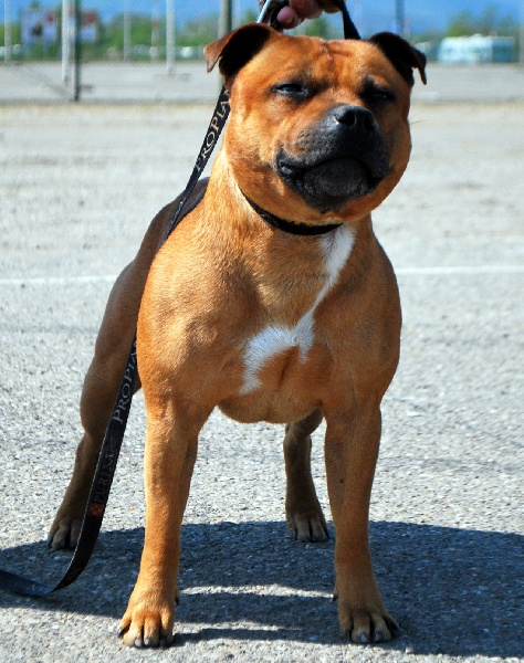 Publication : De la crique du Flojule Auteur : cedric grange