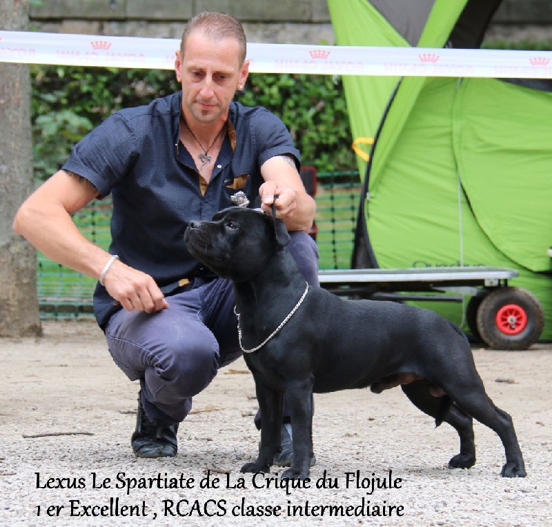 Publication : De la crique du Flojule Auteur : grange cedric