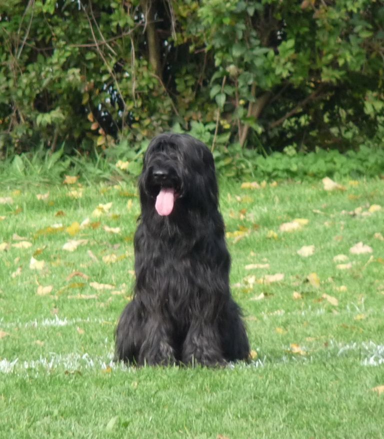 Publication : Du lur'yanou Auteur : corinne