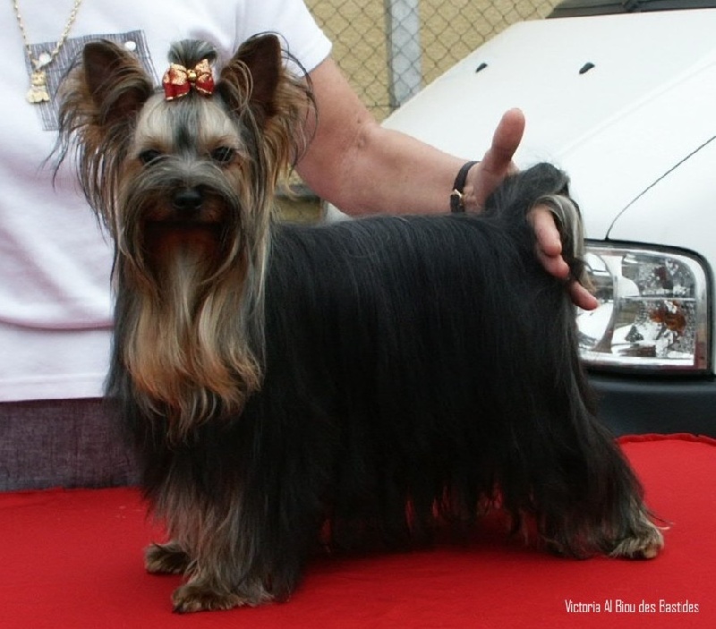 Publication : des Hauts du Gouardey Auteur : Jac