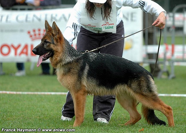 Publication : Kerastivel