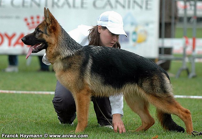 Publication : Kerastivel