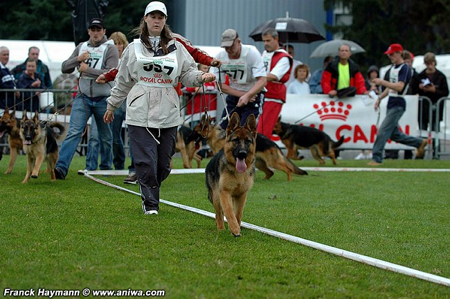 Publication : Kerastivel