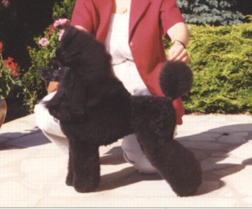 Publication : Generation top Auteur : Bourgeois Nathalie