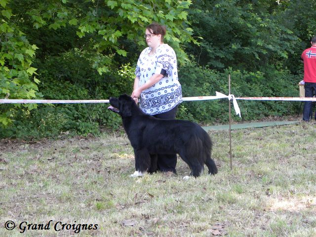 Publication : Du Domaine du Grand Croignes Auteur : A. Rouget