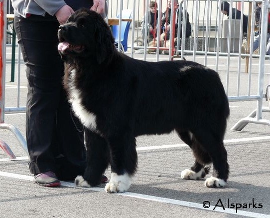 Deep Love Endless flame - Classe Intermédiaire