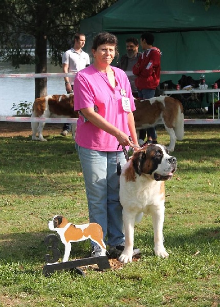 CH. Jody du domaine des Montagnards - 3e Exc +