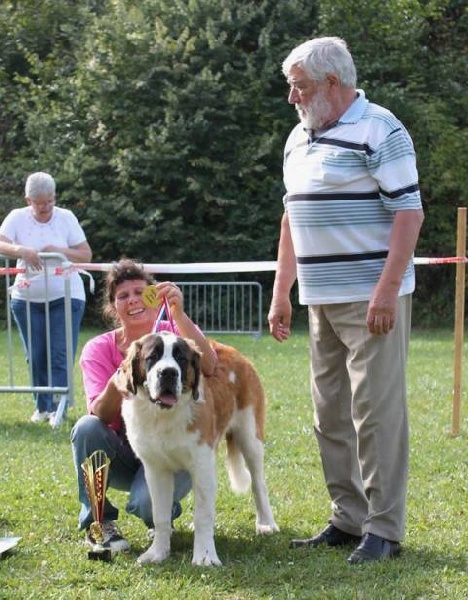 CH. Jody du domaine des Montagnards - 1er Très Prometteur Meilleur PUPPY