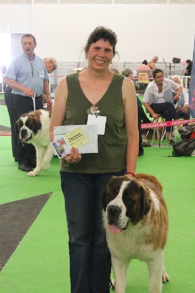 CH. Jody du domaine des Montagnards - 1ère Excellent Meilleur Jeune