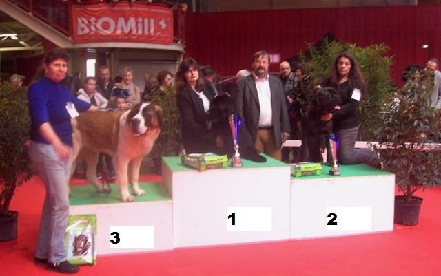 CH. Jody du domaine des Montagnards - 1ère Excellent Meilleur Jeune + 3e Meilleur Jeune Podium Ring d'Honneur