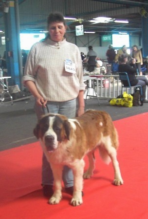 CH. Jody du domaine des Montagnards - 1ère Excellent Meilleur Jeune
