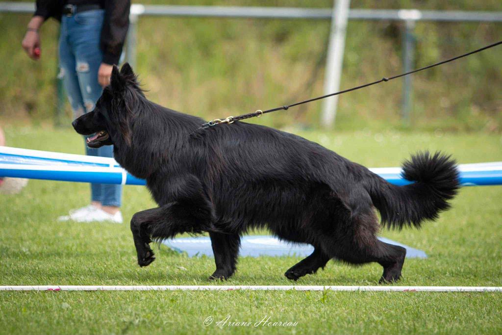 Publication : des contes de Gwelane