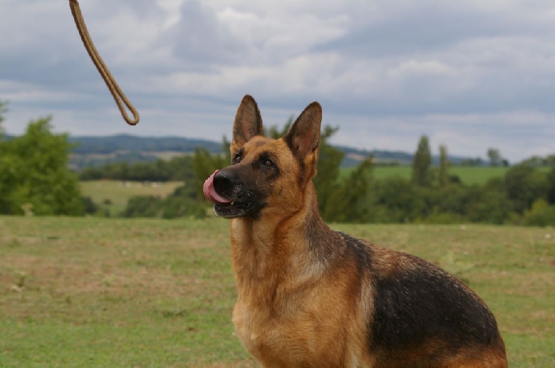 Enna des contes de Gwelane