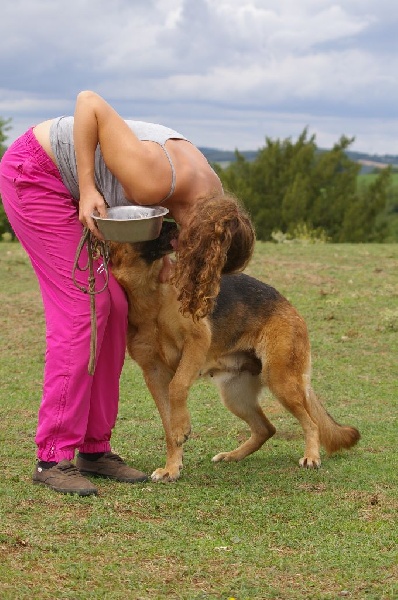 Enna des contes de Gwelane