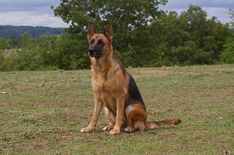 Enna des contes de Gwelane