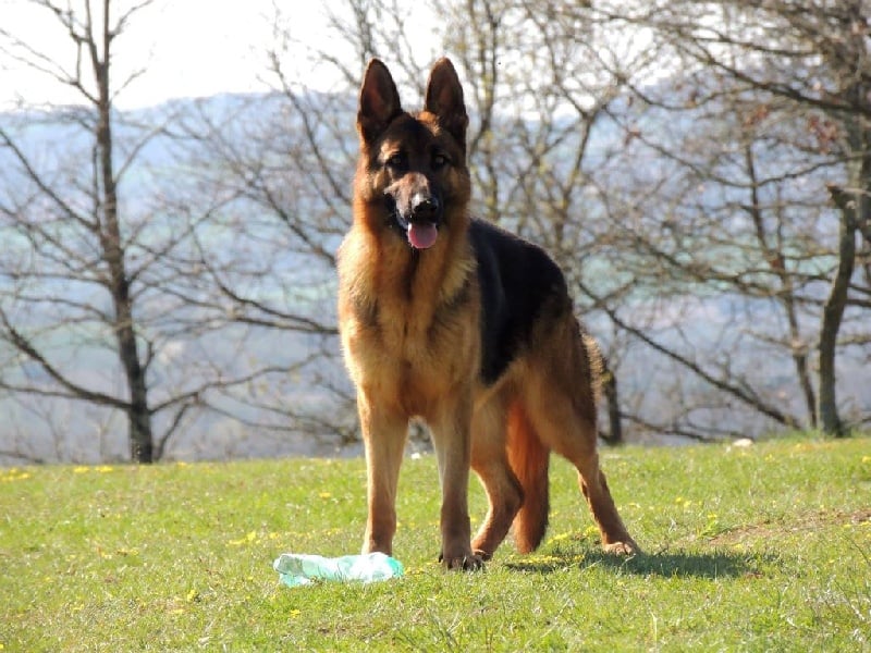 Publication : des contes de Gwelane