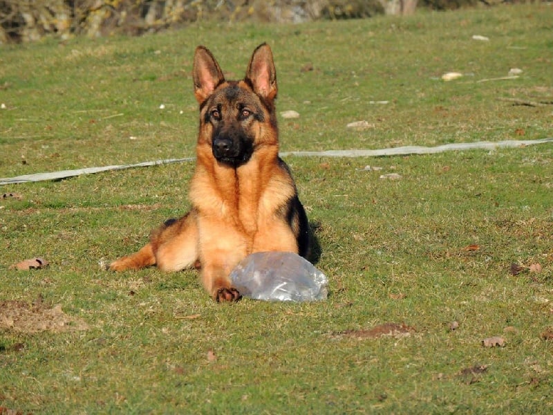 Publication : des contes de Gwelane