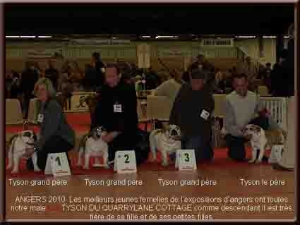 Eutopia of Fashion-Bull's - 3 EME EXCELLENT CLASSE JEUNE