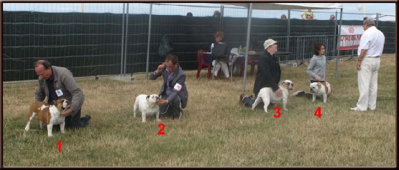 Eutopia of Fashion-Bull's - 1 ere excellent classe jeune