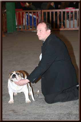 Eutopia of Fashion-Bull's - EXCELLENT CLASSE JEUNE