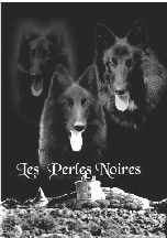 des perles noires