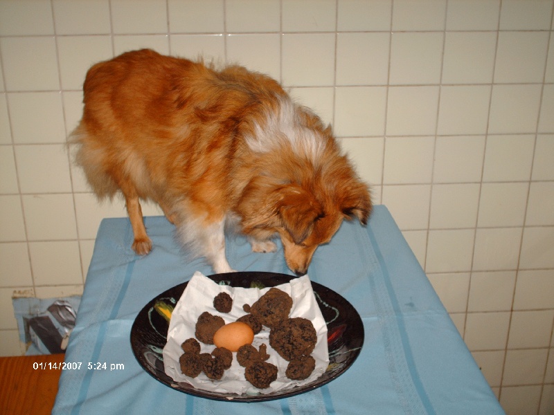 Uranne Du Grand Champ D' Aubertans