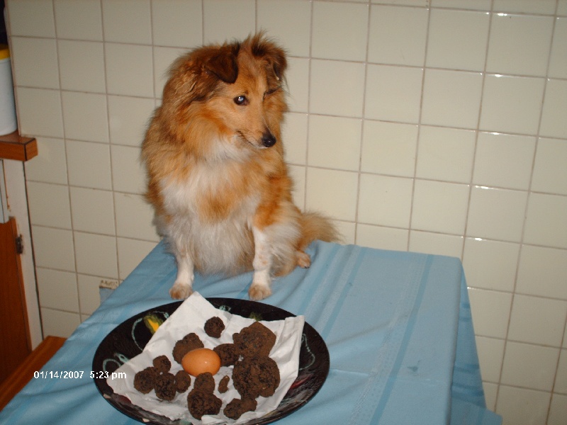 Uranne Du Grand Champ D' Aubertans