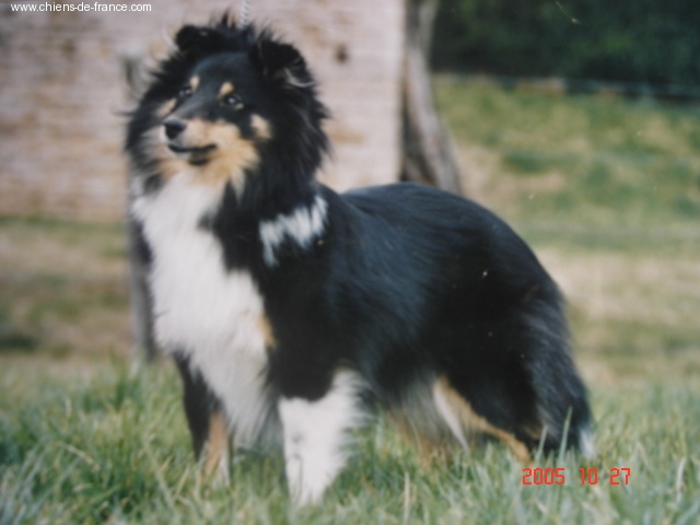 Publication : Du Grand Champ D' Aubertans