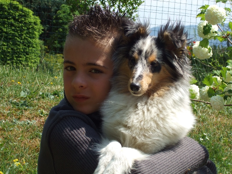 Blue tentation Du Grand Champ D' Aubertans