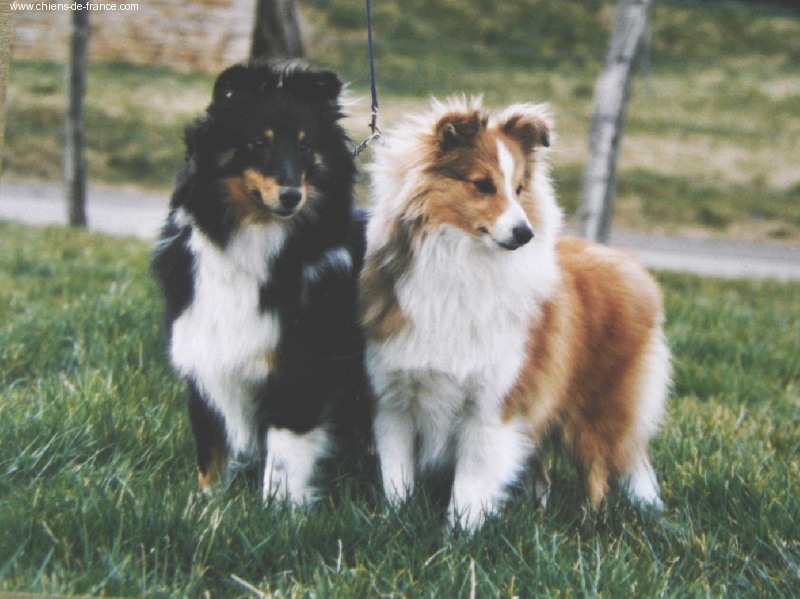 Publication : Du Grand Champ D' Aubertans