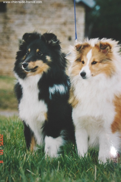 Publication : Du Grand Champ D' Aubertans