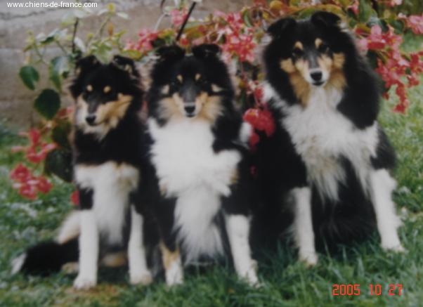 Publication : Du Grand Champ D' Aubertans