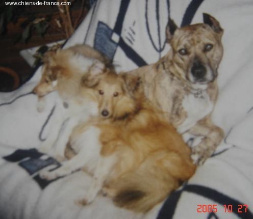 Uranne Du Grand Champ D' Aubertans