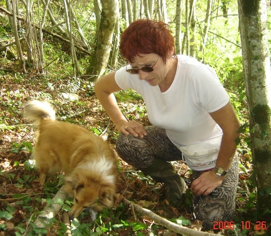 Uranne Du Grand Champ D' Aubertans